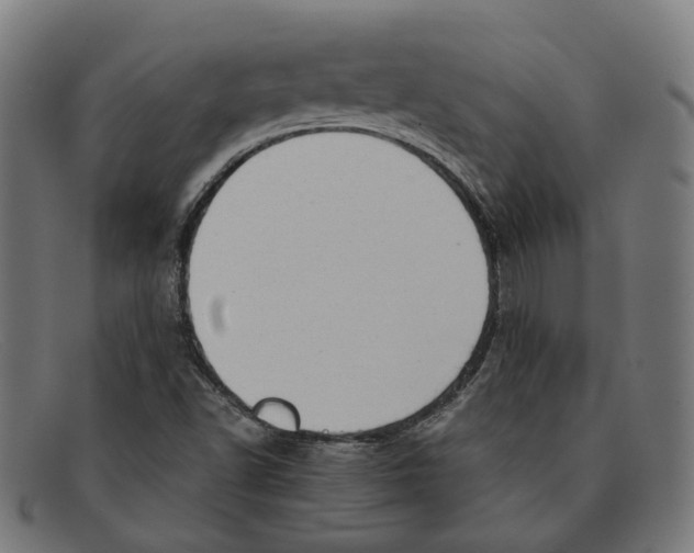 X0000091451502200709131705