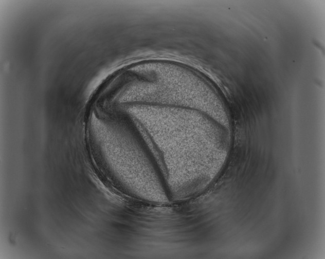 X0000091451503200709131705