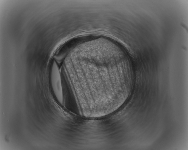 X0000091451506200709131705