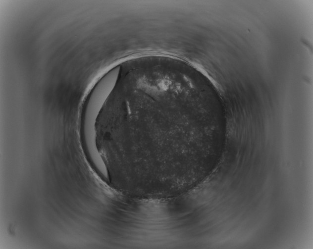 X0000091451508200709131705