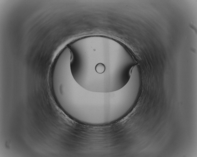 X0000091451510200709131705