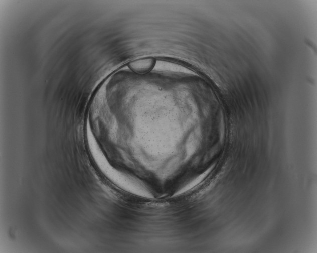 X0000091451513200709131706