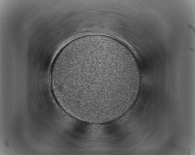 X0000091451514200709131706