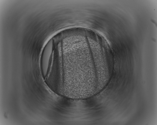 X0000091451516200709131706