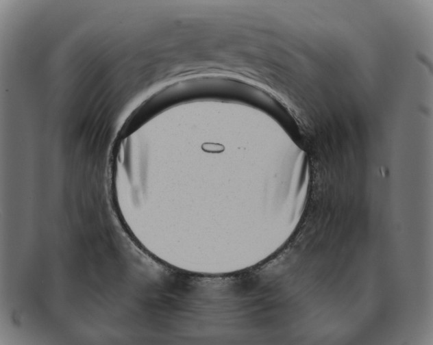 X0000091451518200709131706