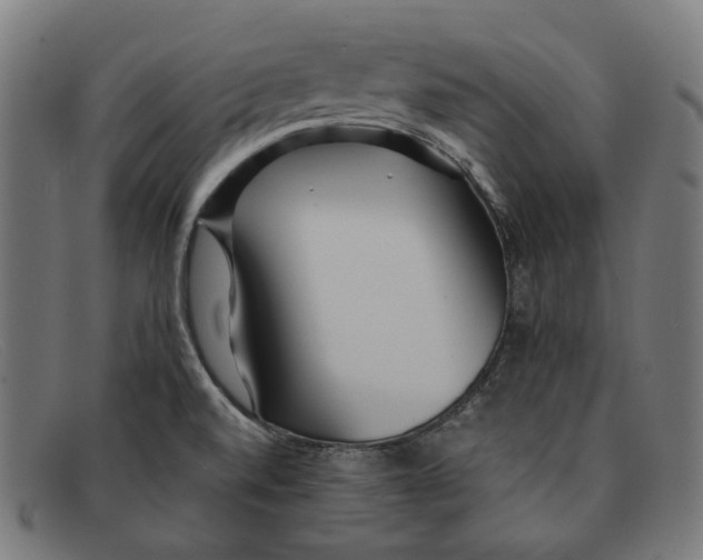 X0000091451520200709131706