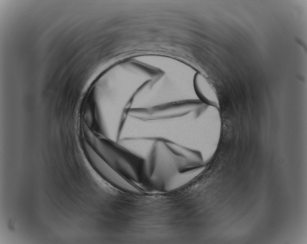 X0000091451523200709131706