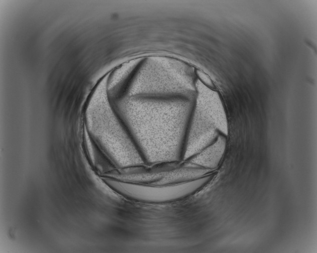 X0000091451526200709131706