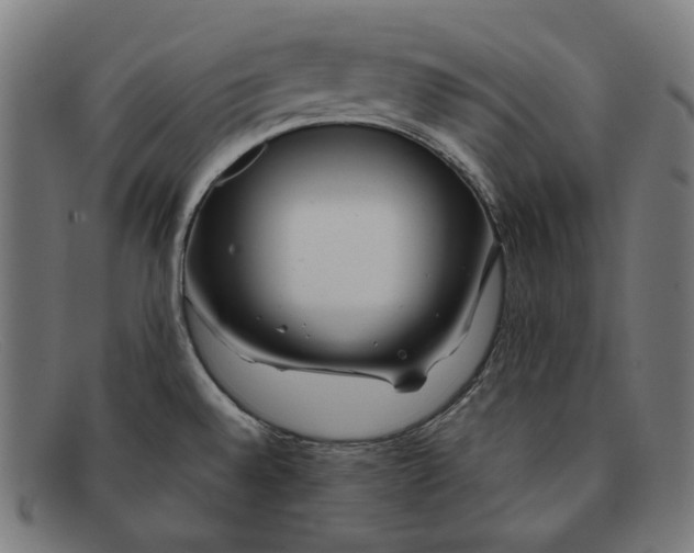 X0000091451528200709131706