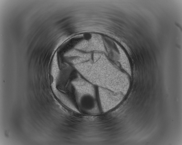 X0000091451529200709131706