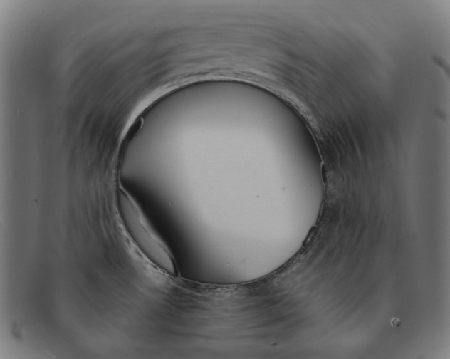 X0000091451530200709131706