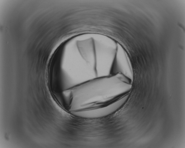 X0000091451531200709131706