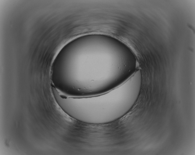 X0000091451532200709131706