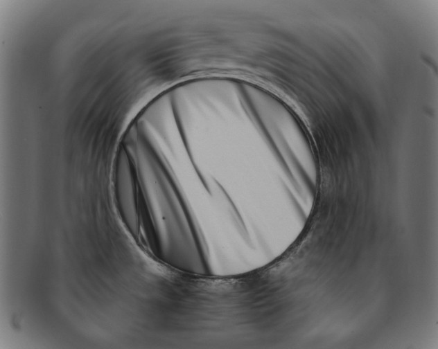 X0000091451533200709131706