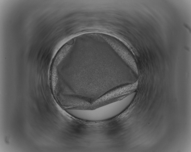 X0000091451535200709131706