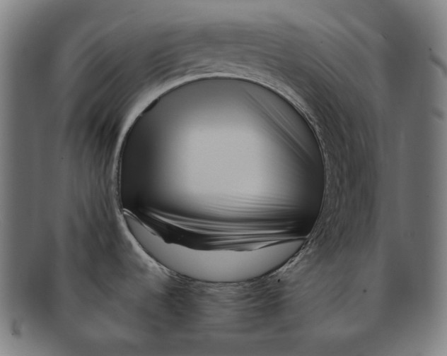 X0000091451536200709131706