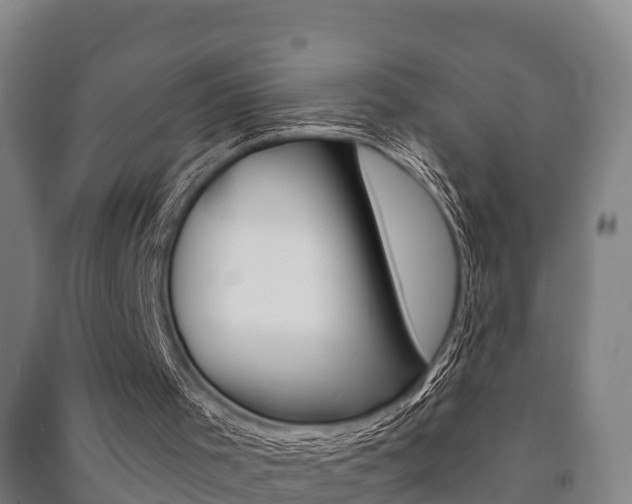 X0000091460001200708161117