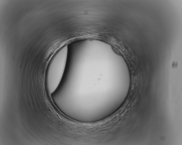 X0000091460002200708161117
