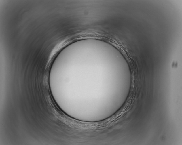 X0000091460004200708161117