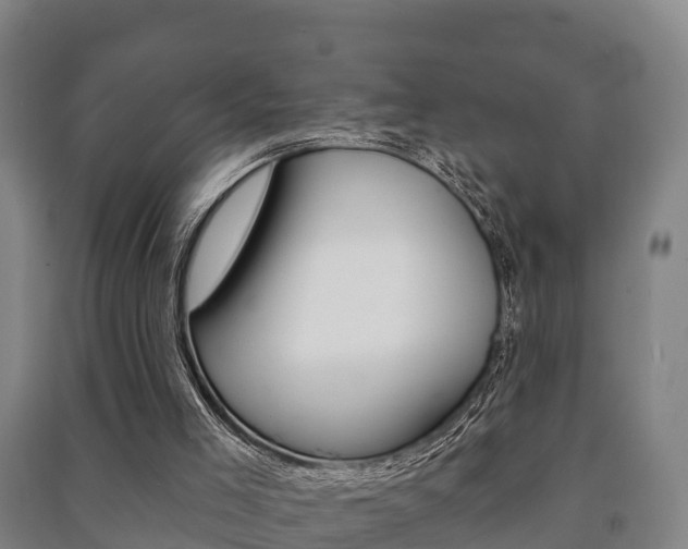 X0000091460005200708161117