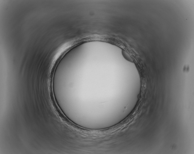 X0000091460006200708161117