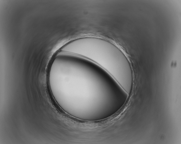X0000091460008200708161117