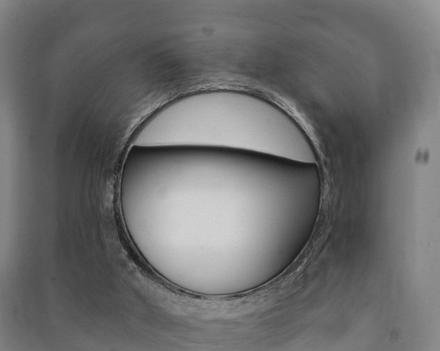 X0000091460010200708161117