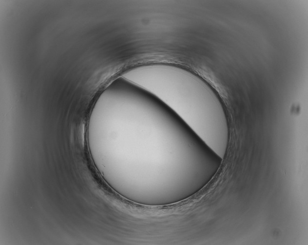 X0000091460014200708161117