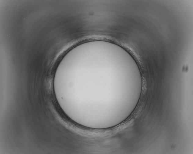 X0000091460016200708161116
