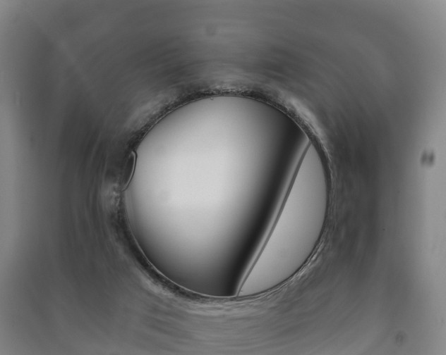 X0000091460017200708161116