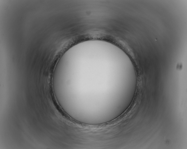 X0000091460018200708161116