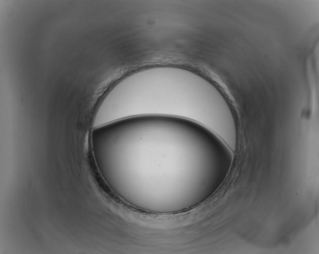 X0000091460019200708161116