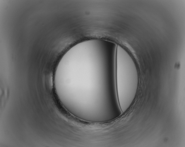 X0000091460020200708161116