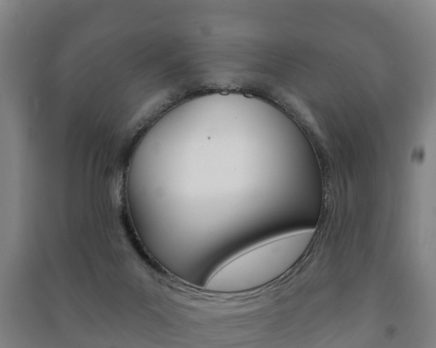 X0000091460023200708161116