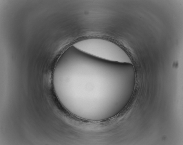 X0000091460024200708161116