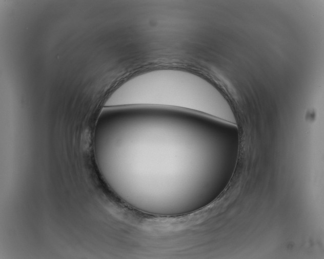 X0000091460025200708161116