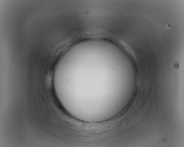 X0000091460026200708161116
