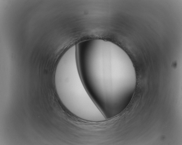 X0000091460027200708161116