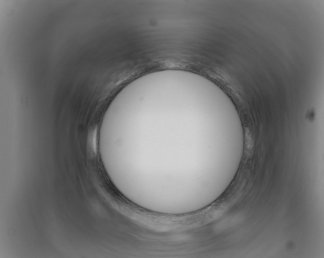 X0000091460028200708161116