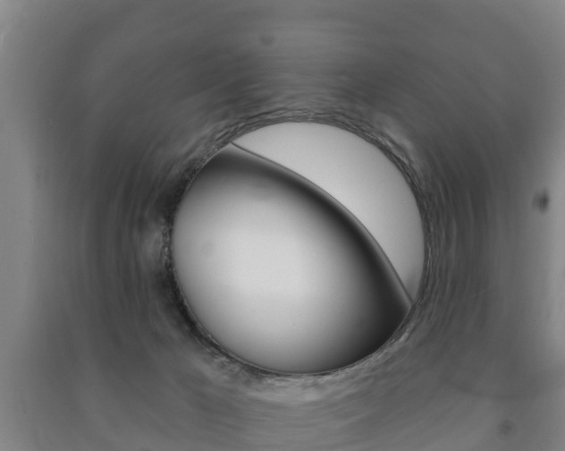 X0000091460029200708161116