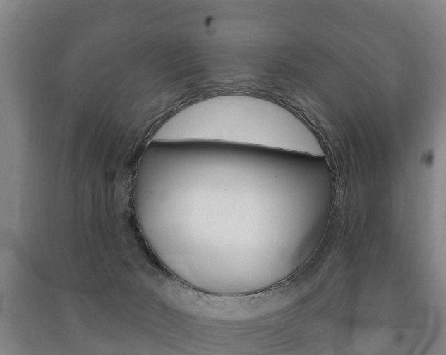 X0000091460030200708161116