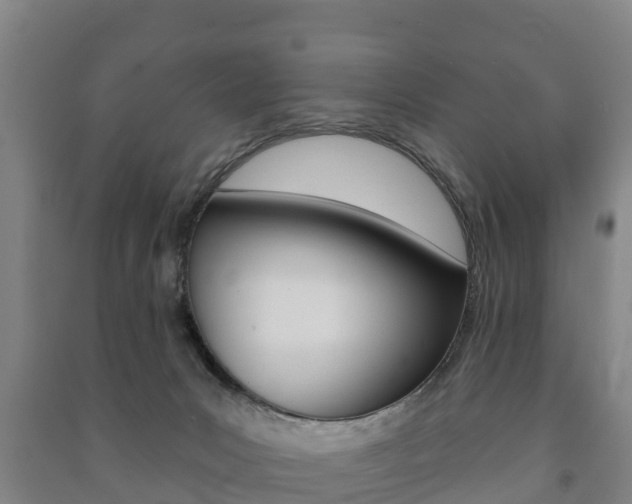 X0000091460031200708161116