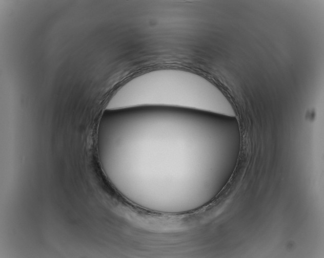 X0000091460032200708161116