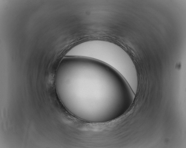 X0000091460033200708161116