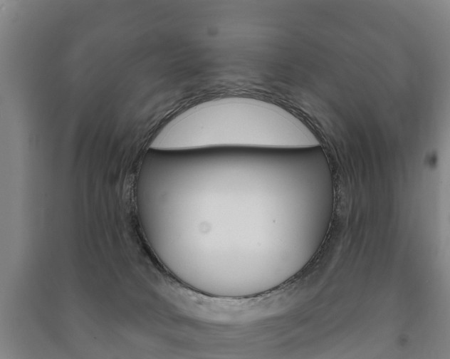 X0000091460034200708161116