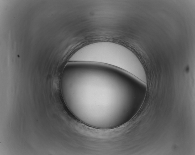 X0000091460035200708161116