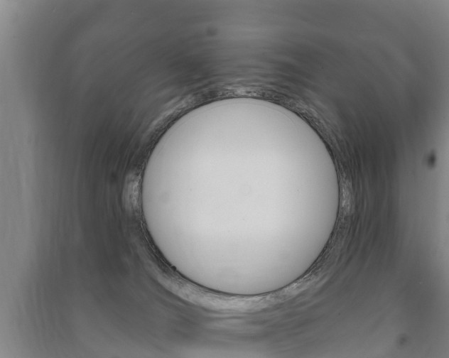 X0000091460036200708161116