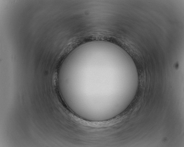 X0000091460038200708161116
