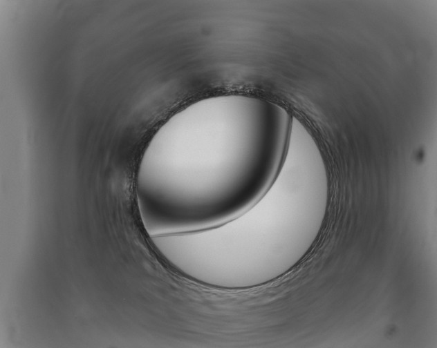 X0000091460039200708161116