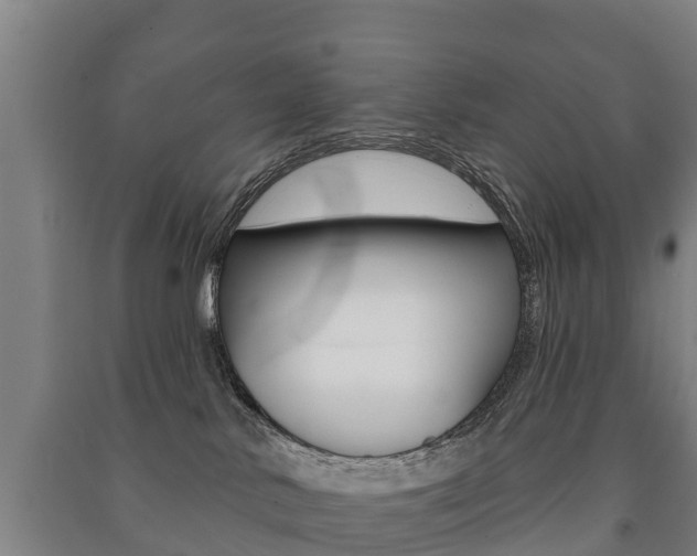 X0000091460042200708161116